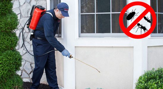 Evka 2 Haşere İlaçlama böcek ilaçlama ve haşere kontrolü — ilaclama-tr.com